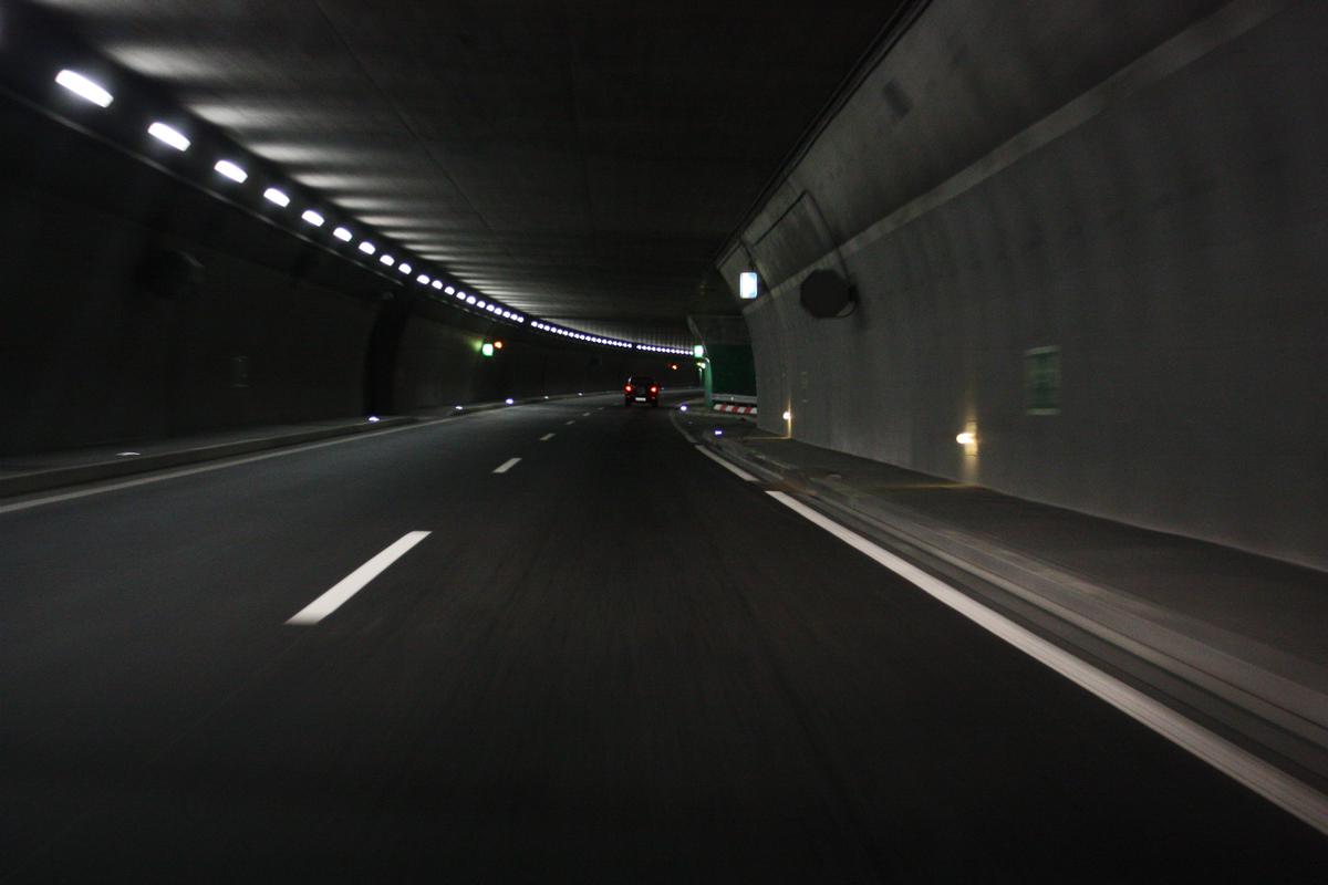 Sierre Tunnel 