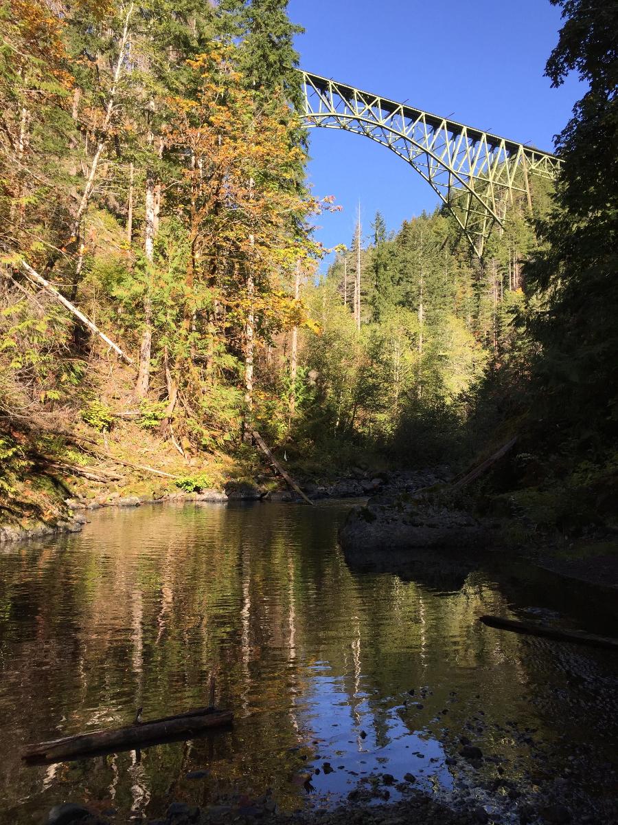 Decommissioned railroad bridge over Vance Creek, Washington 
