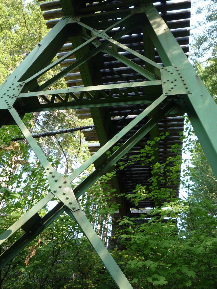 Vance Creek Bridge 