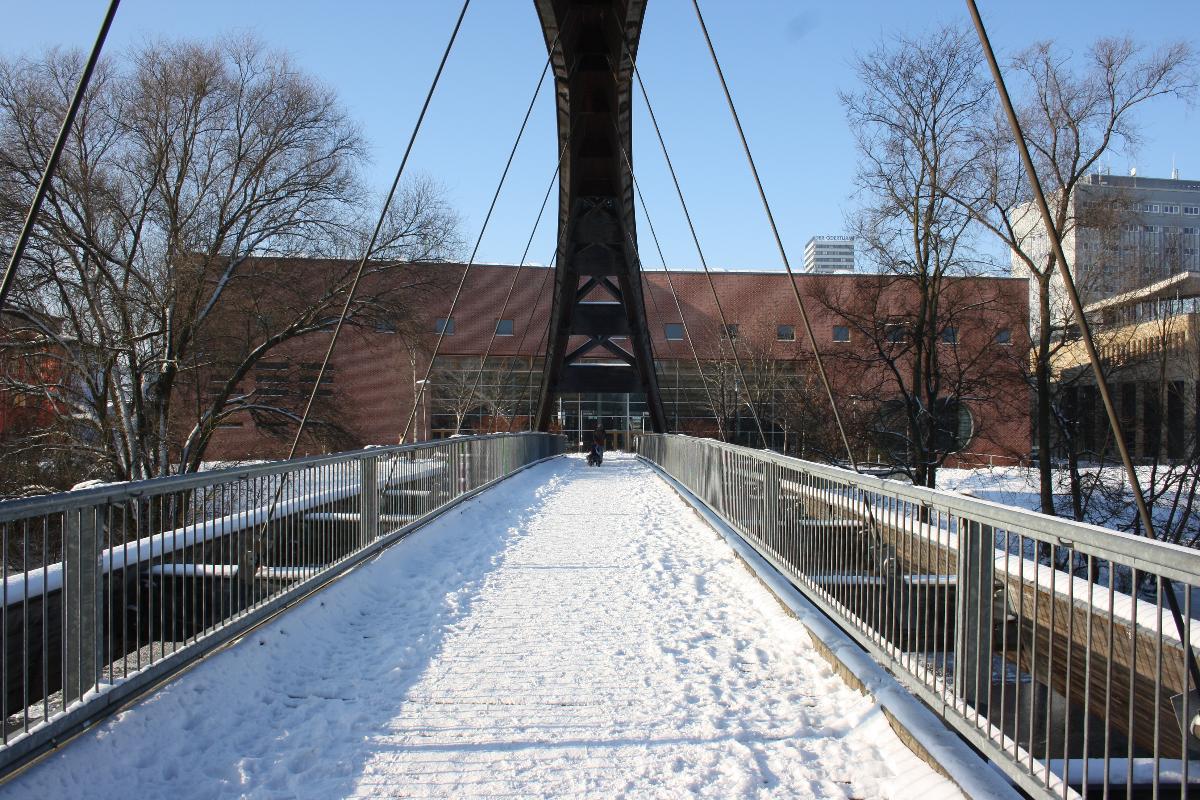 Winterimpression an der Oder bei Frankfurt (Oder) Brücke zur Insel Ziegenwerder 