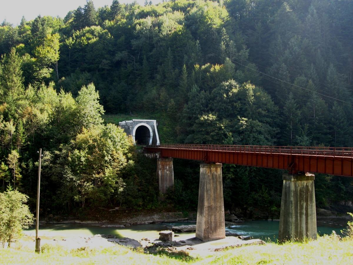 Yaremche Railway Bridge 