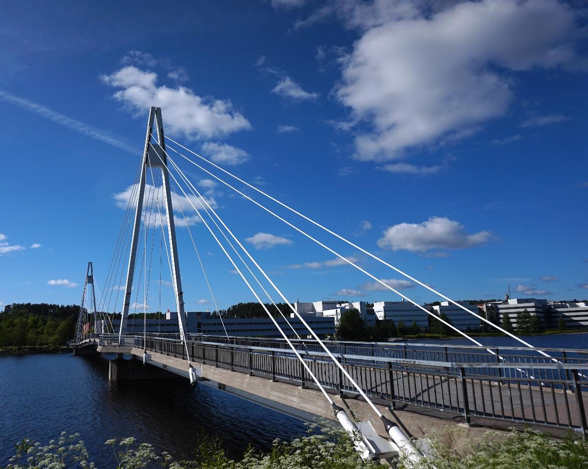 Ylistö bridge in Jyväskylä. View from the Ylistönmäki campus 