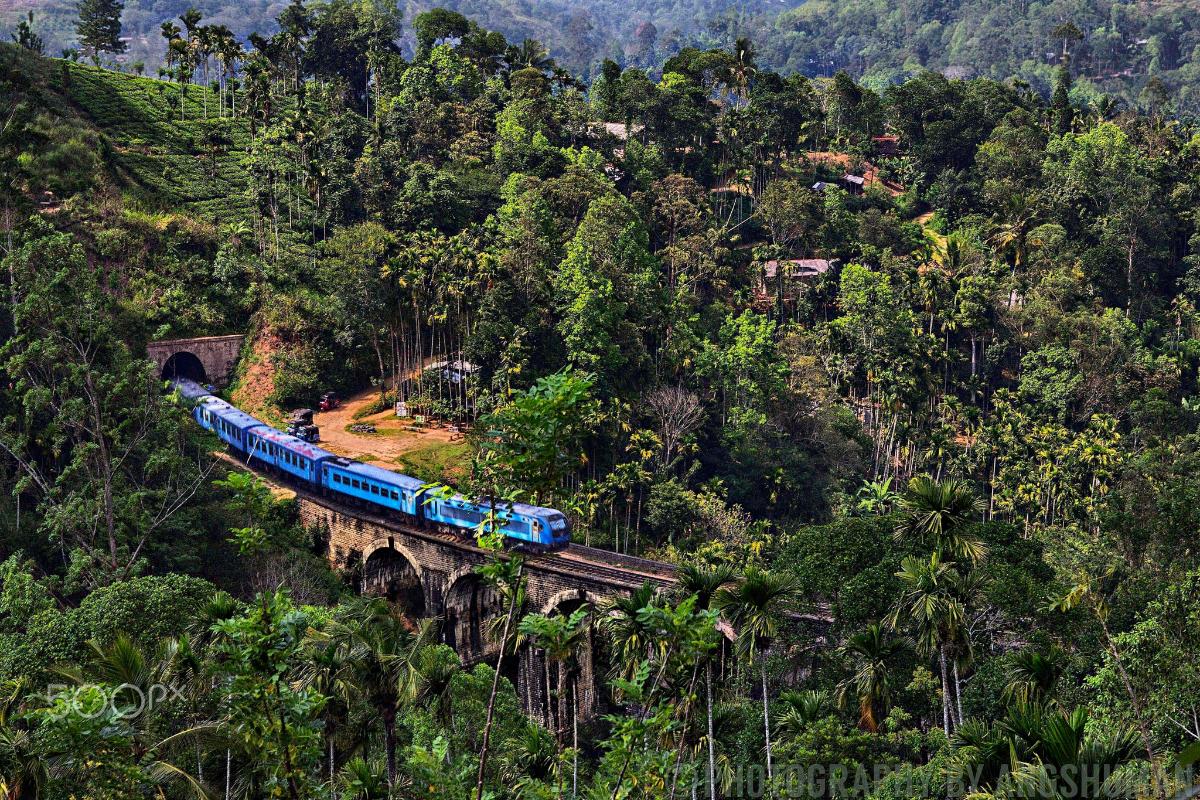 A blue train crosses the Nine Arches Bridge also called The Bridge in the sky, which is one of the most iconic bridges in Sri Lanka The bridge is one of the best examples of British railway constructions when Ceylon was yet a colony of the British Empire. It is located in Demodara, between Ella and Demodara railway stations. At about 3100 feet above the sea level, this 99.6ft high bridge is built entirely of solid rocks, bricks and cement without using a single piece of steel. The bridge was commissioned in 1921.