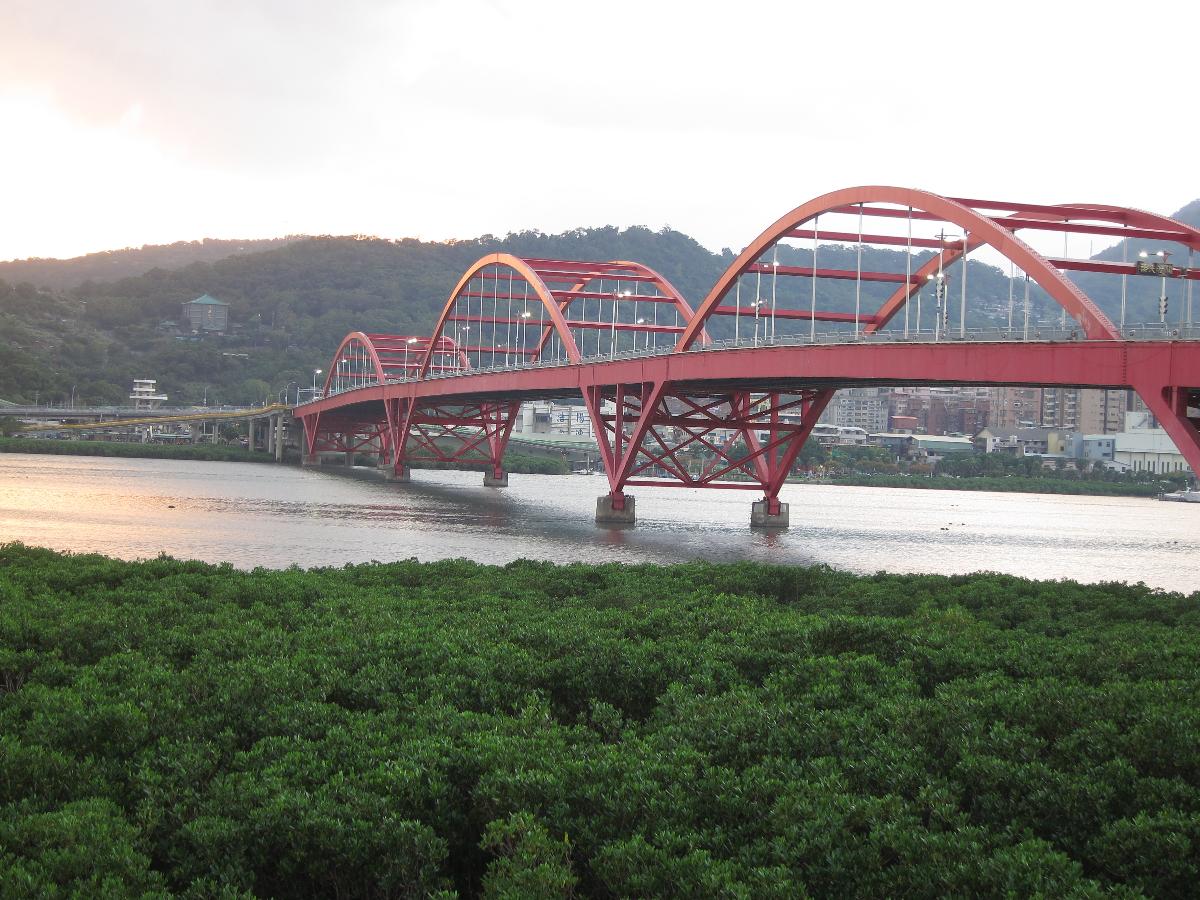 Afternoon view of Guandu Bridge 