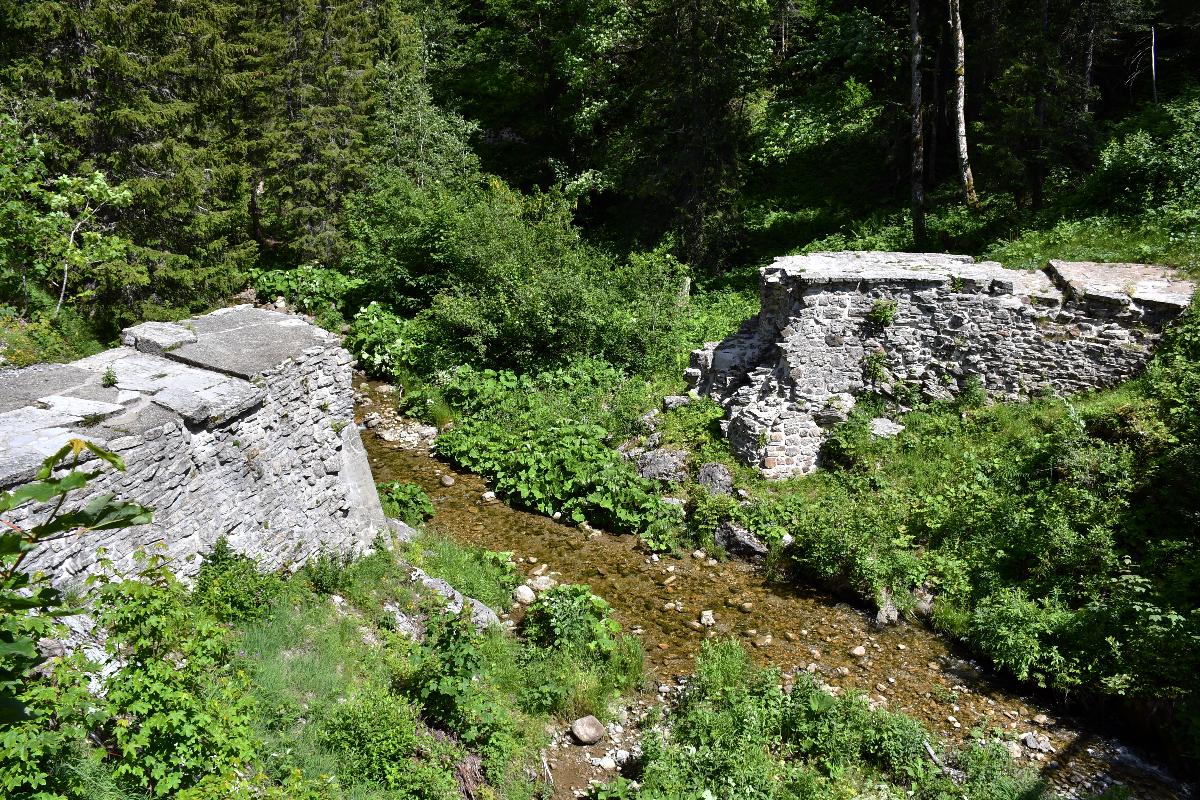 Barrage-écluse de la Joux Verte Les vestiges de l'ancien barrage-écluse de la Joux Verte, datant du XVIIe siècle, situé sur l'Eau Froide, rivière qui sépare les communes de Villeneuve (à gauche) et de Corbeyrier (à droite), dans le canton de Vaud, en Suisse.