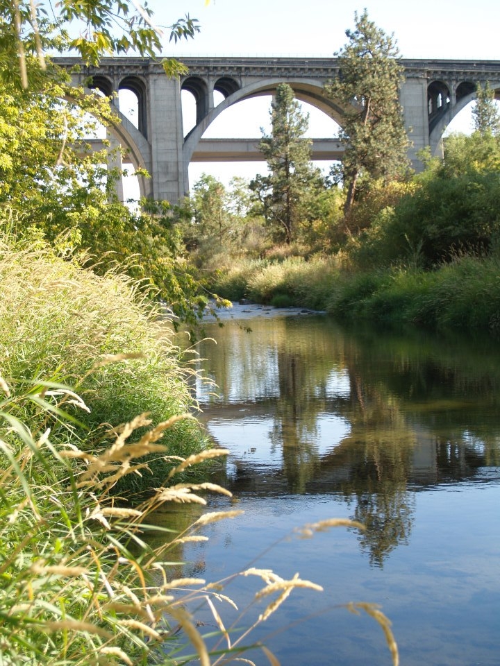 The Sunset Highway, Interstate 90 and railroad bridges over Latah Creek, as seen from just downstream High Bridge Park lies on the opposite side of the water as where the photo was taken. September 2012.