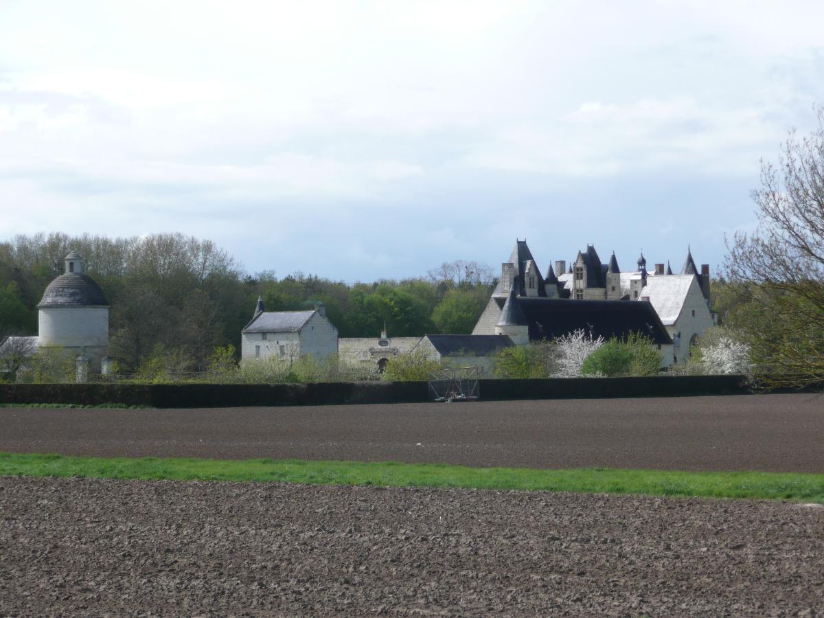 Boumois Castle 