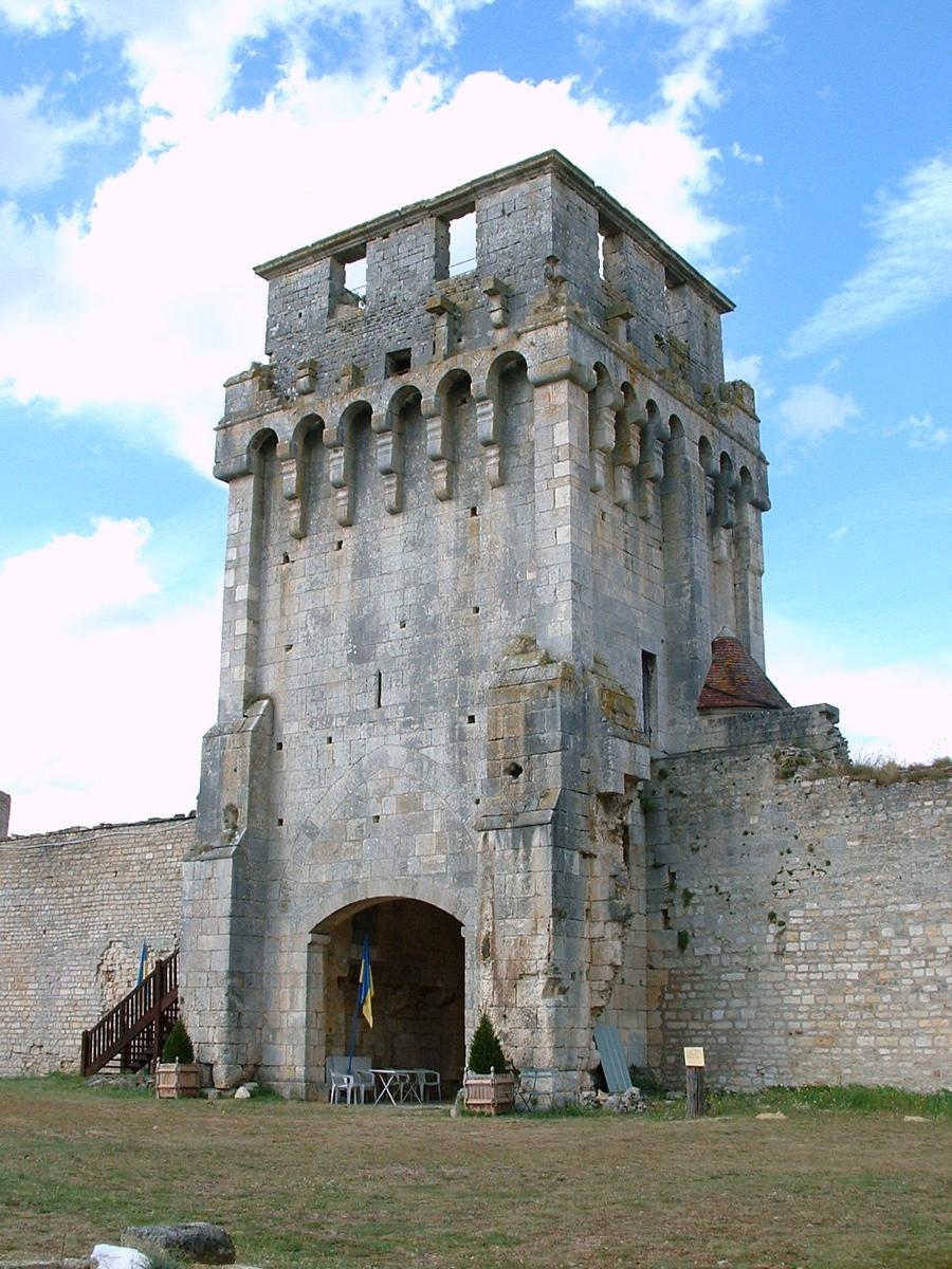 Druyes Castle 
