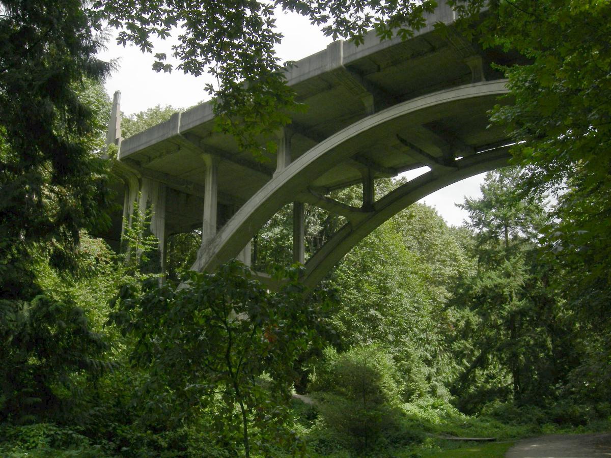 The Cowen Park Bridge, spanning Cowen Park in Seattle, Washington and connecting the University District to the Ravenna neighborhood, seen from below. 