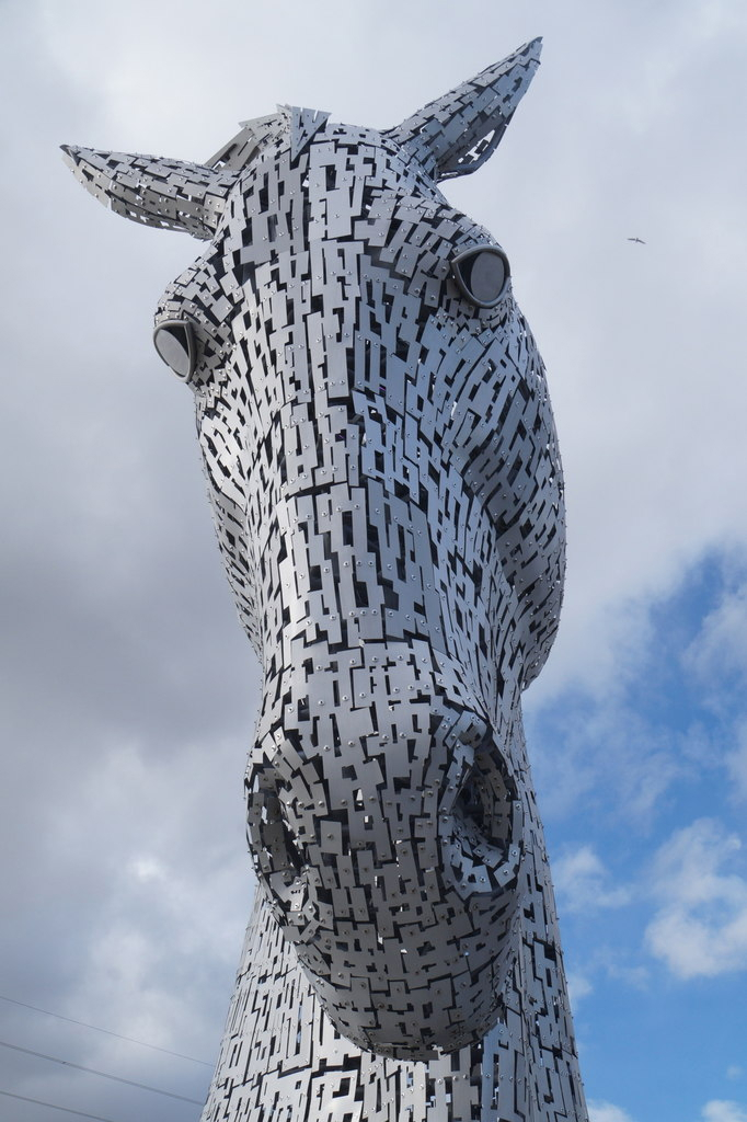 Head of a Kelpie, Falkirk  