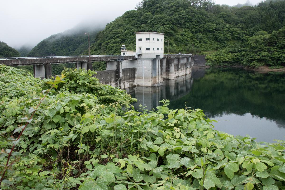 Manno Dam 