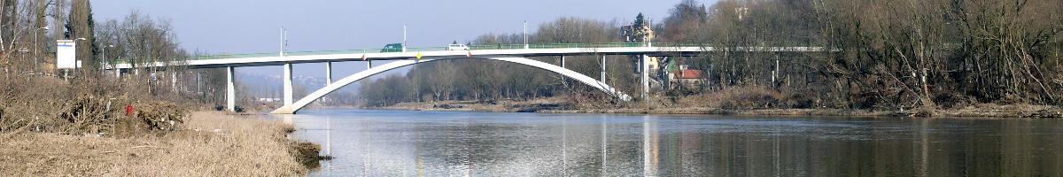 Peace Race Bridge 
