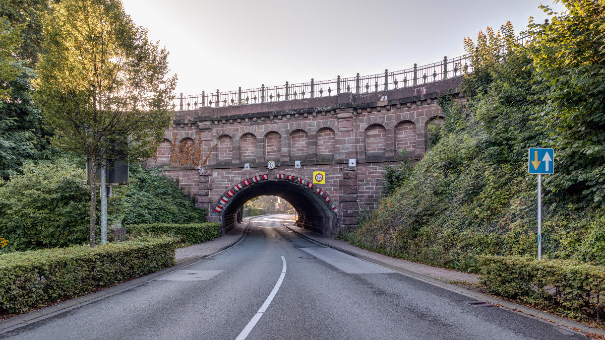 Oblique Bridge 