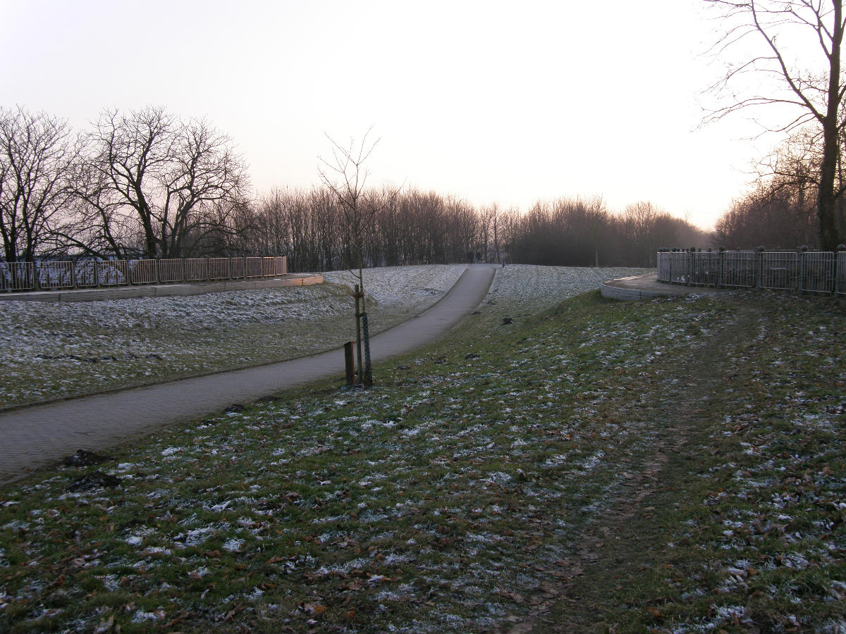 Oblique Bridge 