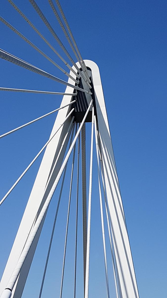 Ringvaartbrücke Ottergem 