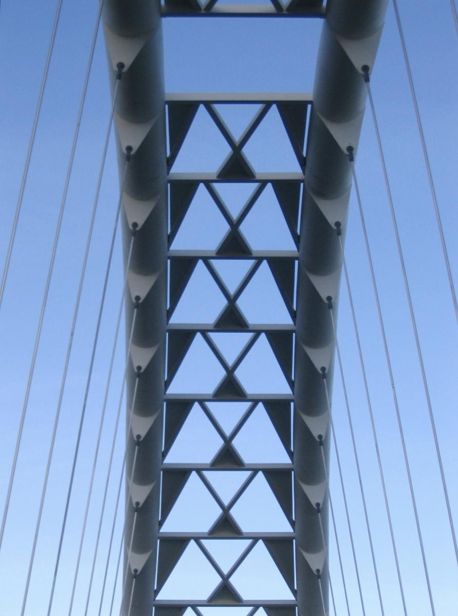 Humber Bay Arch Bridge 