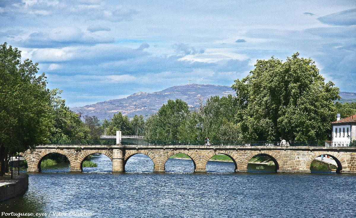 Trajan's Bridge 