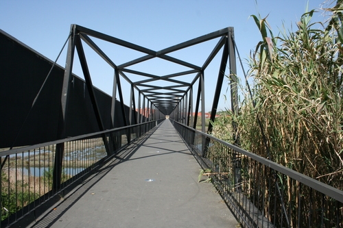 Ponte sobre o Canal de São Pedro no Campus da Universidade de Aveiro - Verdemilho - Aradas 