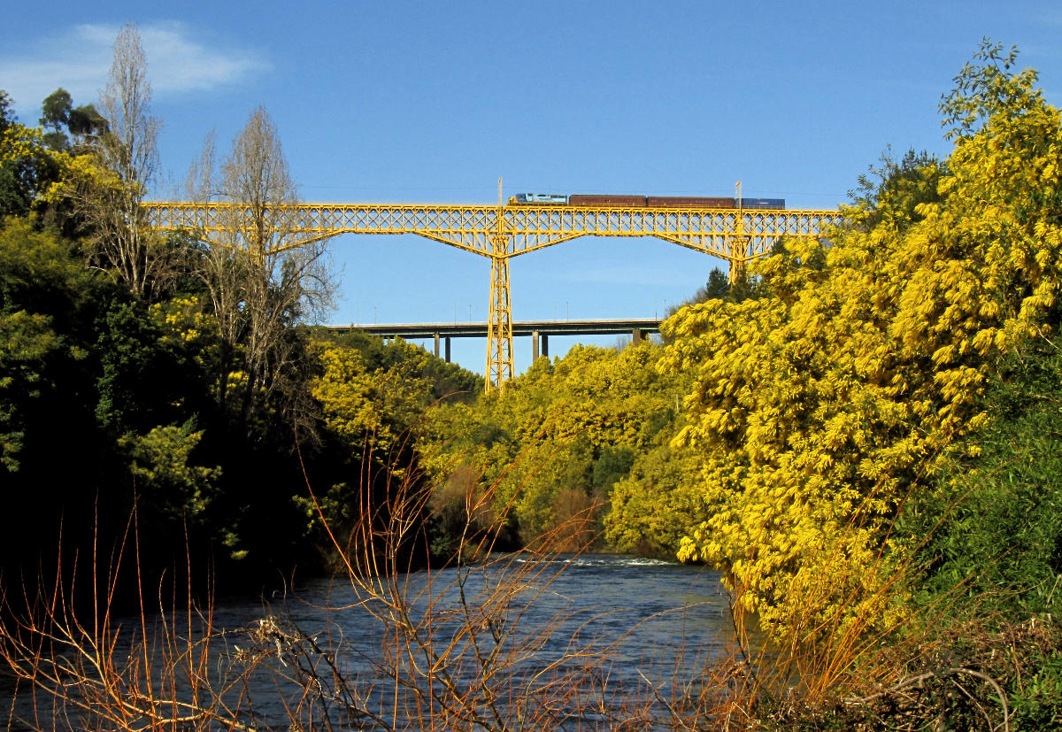 Viaduc du Malleco 