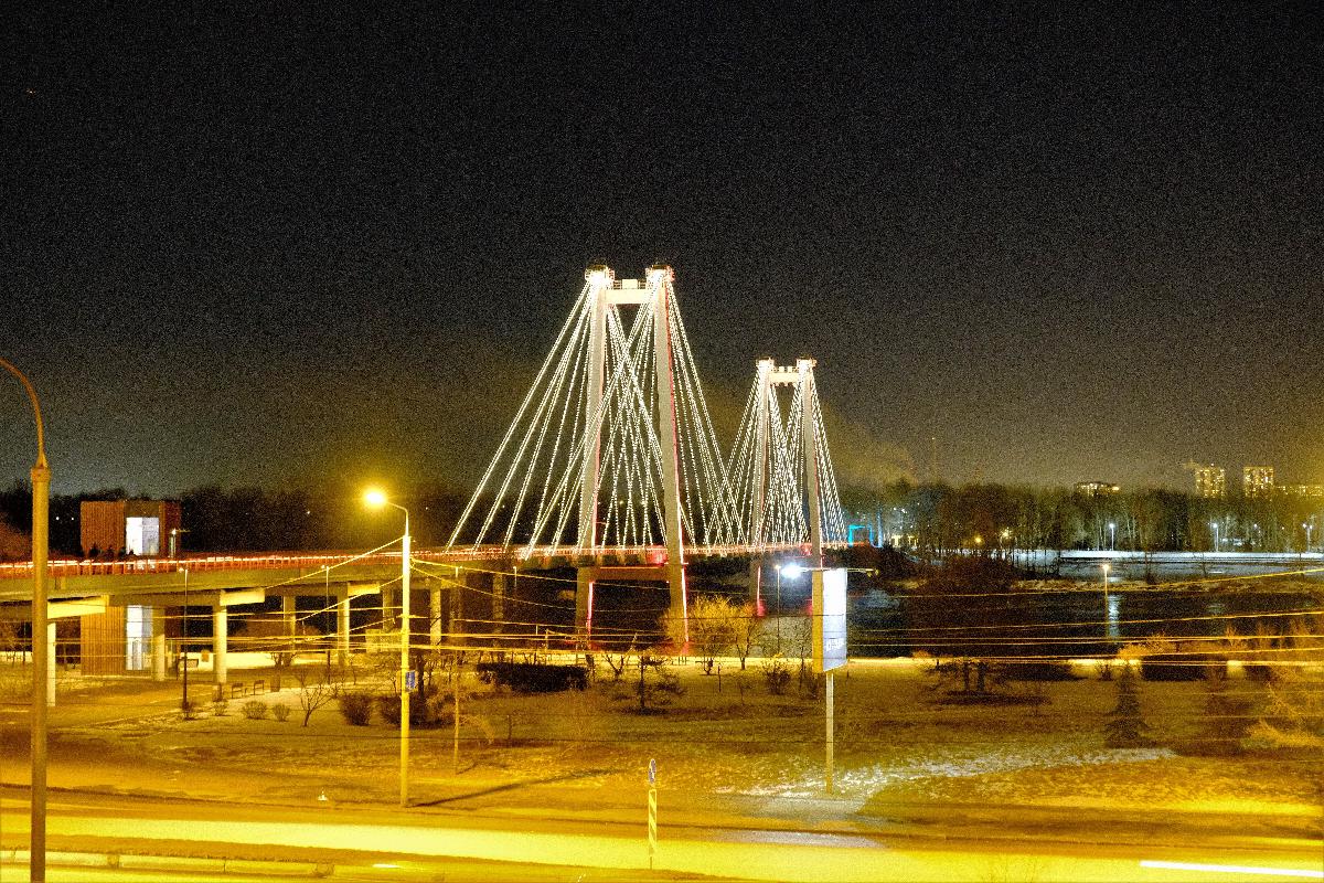 Vinogradovsky Bridge 