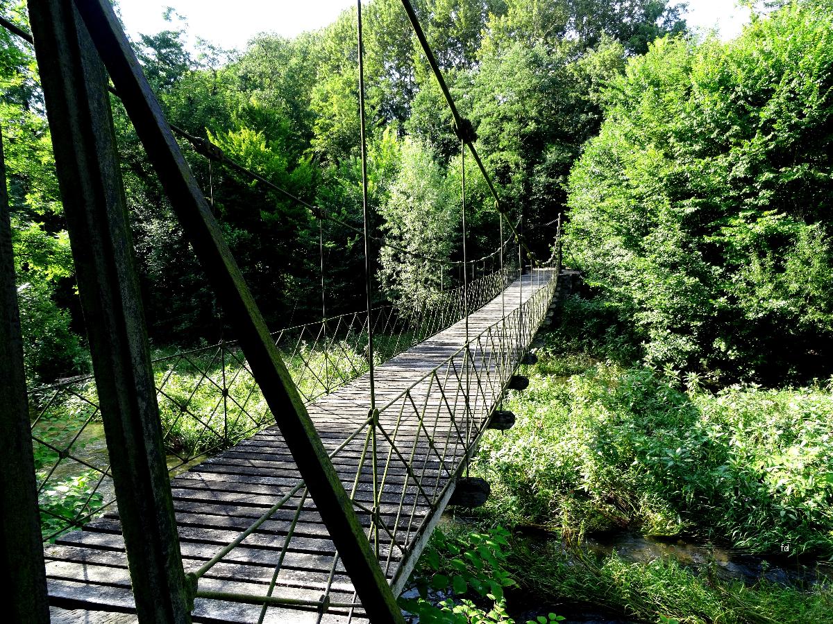 Pont suspendu du château Laer 