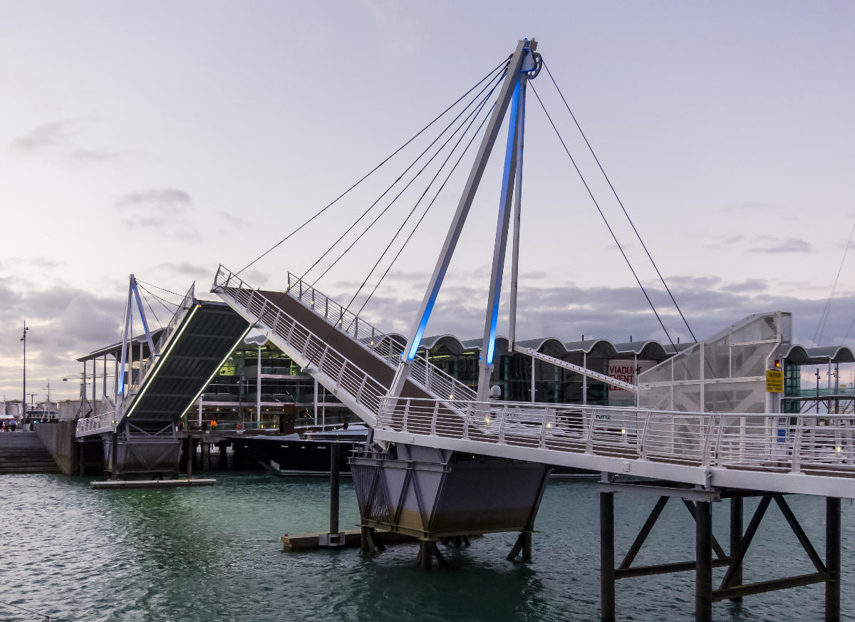 Wynyard Crossing Bridge 